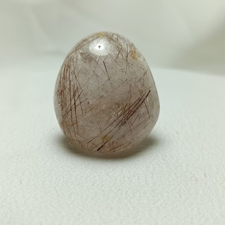 WhatsApp Image 2026-01-21 at 18.09