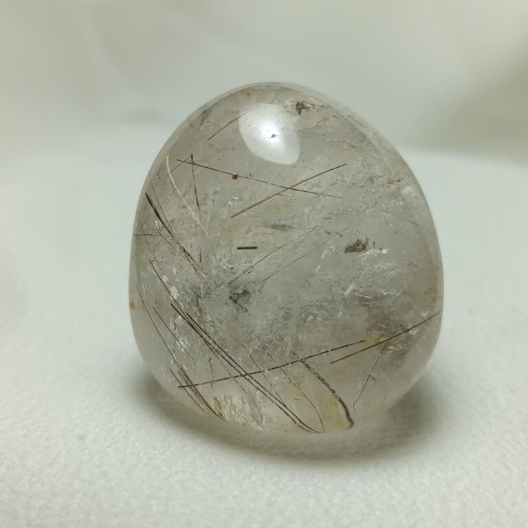 WhatsApp Image 2026-01-21 at 18.09