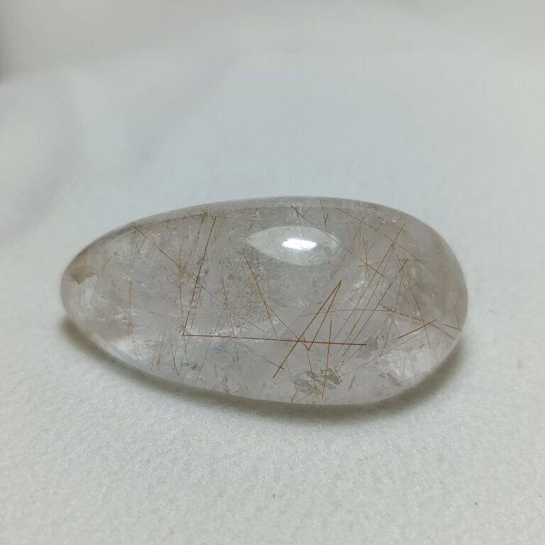 WhatsApp Image 2026-01-21 at 18.09