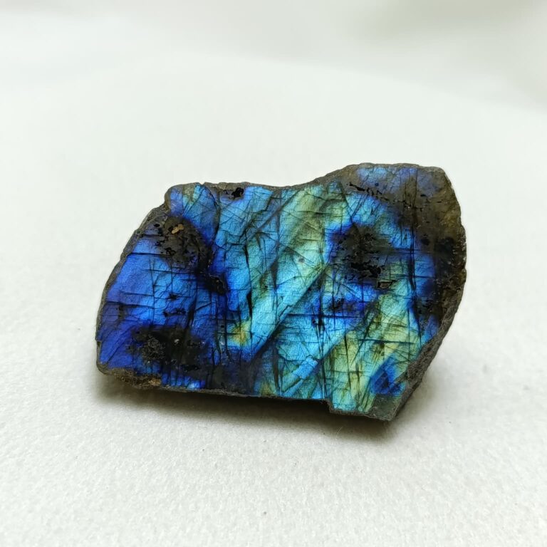 WhatsApp Image 2026-01-21 at 18.09