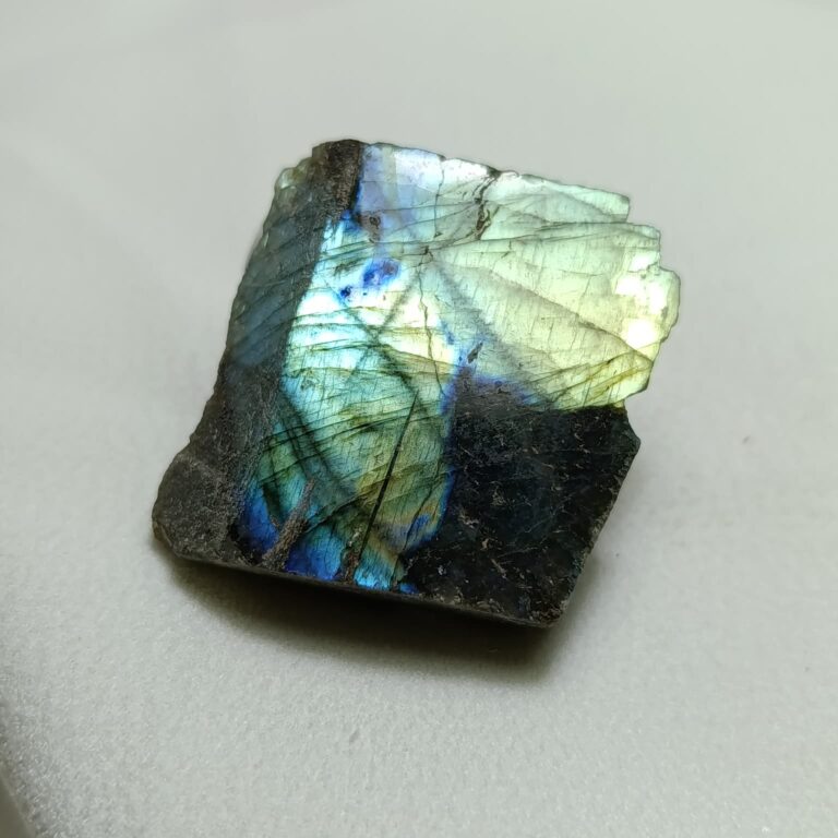 WhatsApp Image 2026-01-21 at 18.09