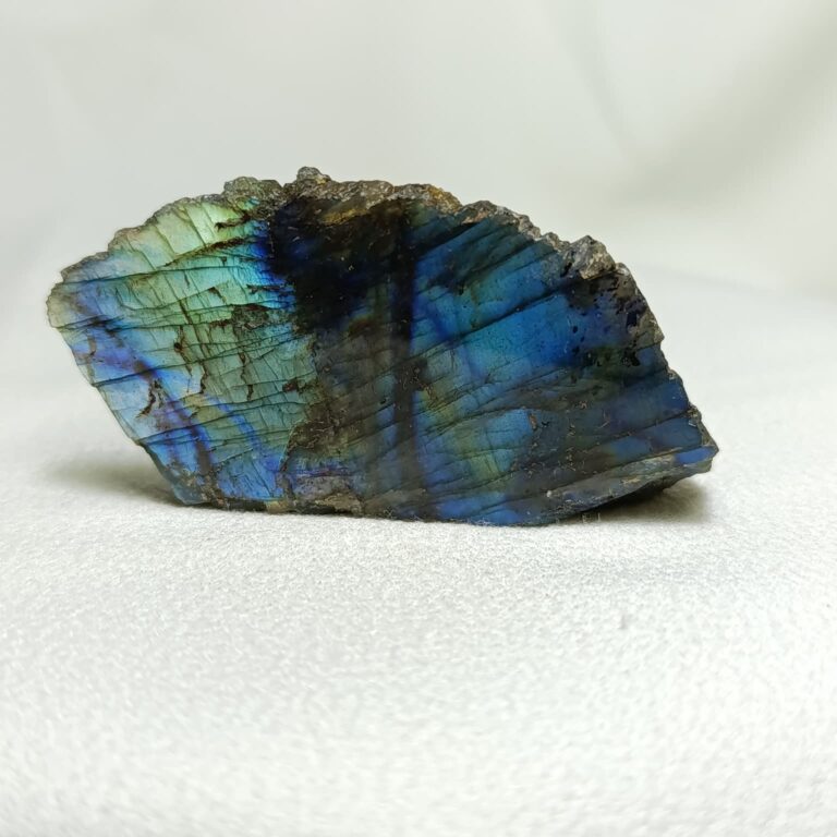 WhatsApp Image 2026-01-21 at 18.09