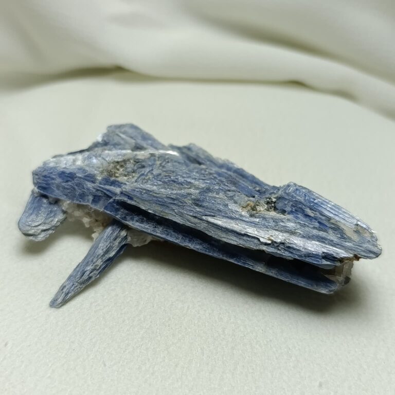 WhatsApp Image 2026-01-21 at 18.59