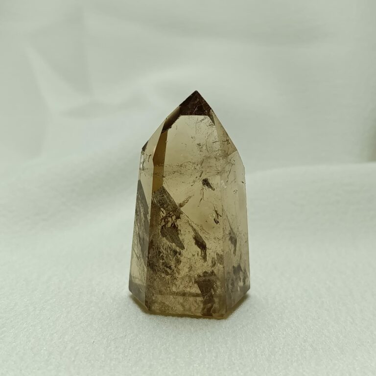 WhatsApp Image 2026-01-26 at 21.08