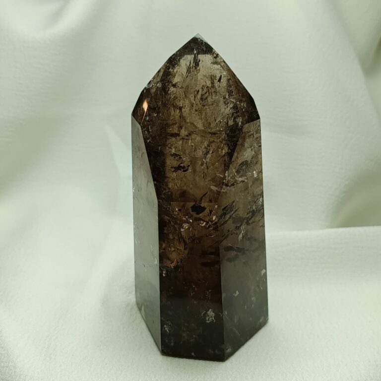 WhatsApp Image 2026-01-26 at 21.09