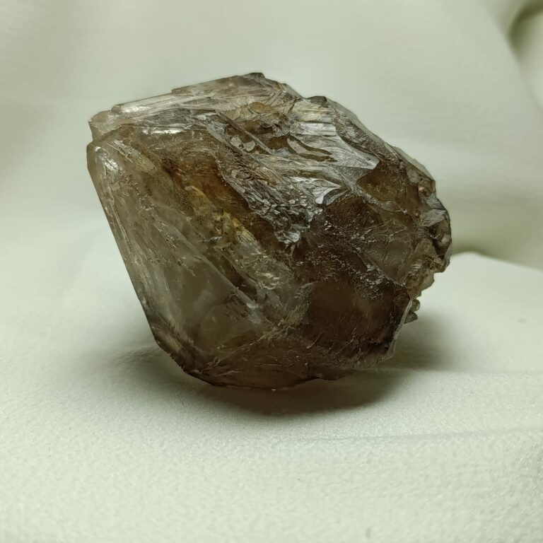 WhatsApp Image 2026-01-26 at 21.09