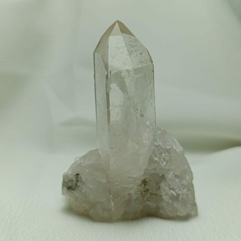 WhatsApp Image 2026-01-26 at 21.09