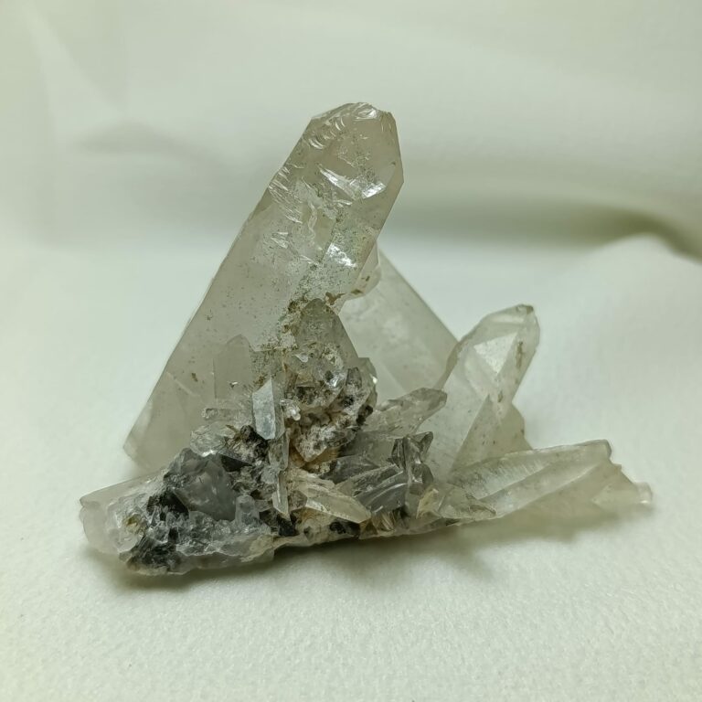 WhatsApp Image 2026-01-26 at 21.09