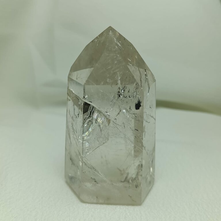 WhatsApp Image 2026-01-26 at 21.09