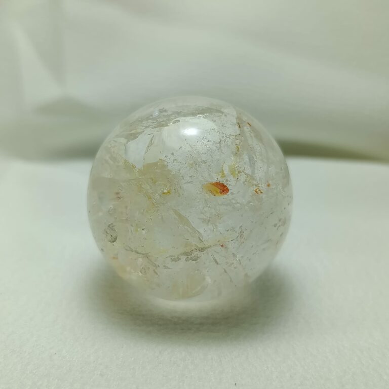 WhatsApp Image 2026-01-26 at 21.10