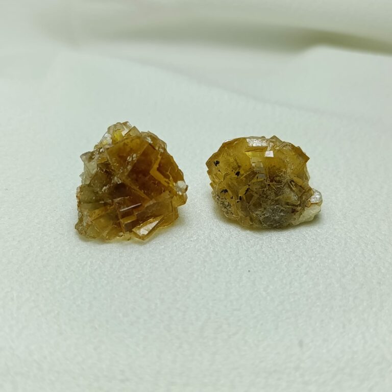 WhatsApp Image 2026-01-26 at 21.10