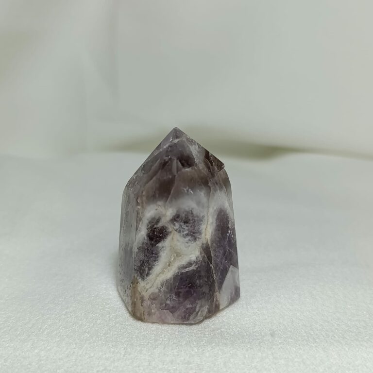 WhatsApp Image 2026-01-26 at 21.11