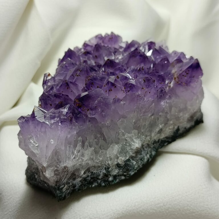 WhatsApp Image 2026-01-26 at 21.11