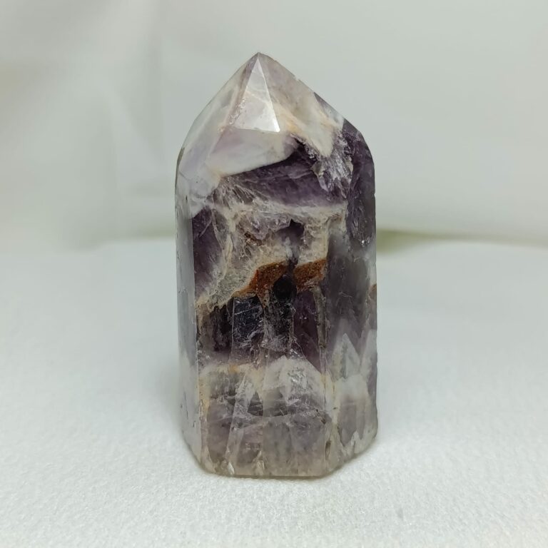 WhatsApp Image 2026-01-26 at 21.11