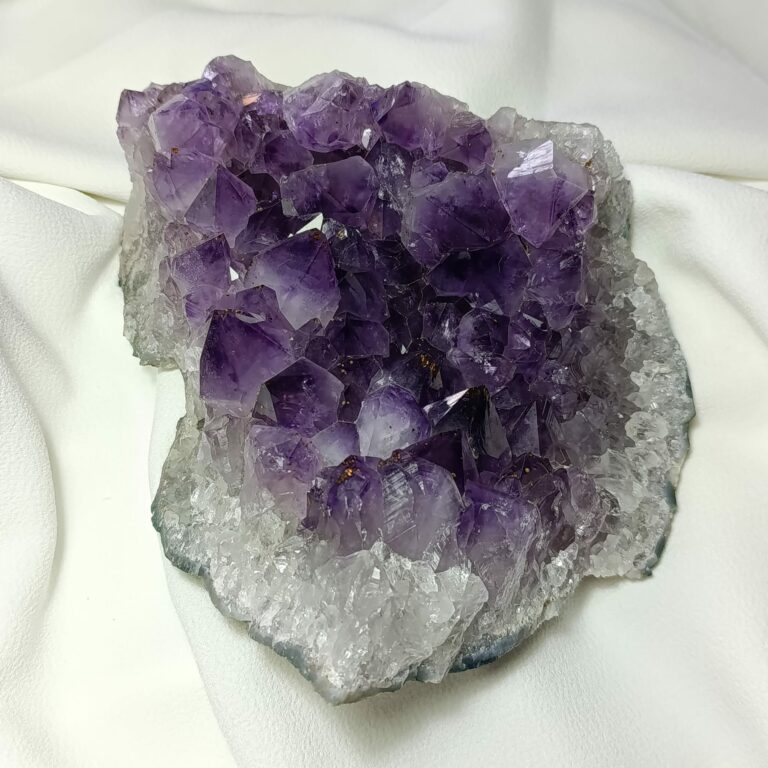 WhatsApp Image 2026-01-26 at 21.11