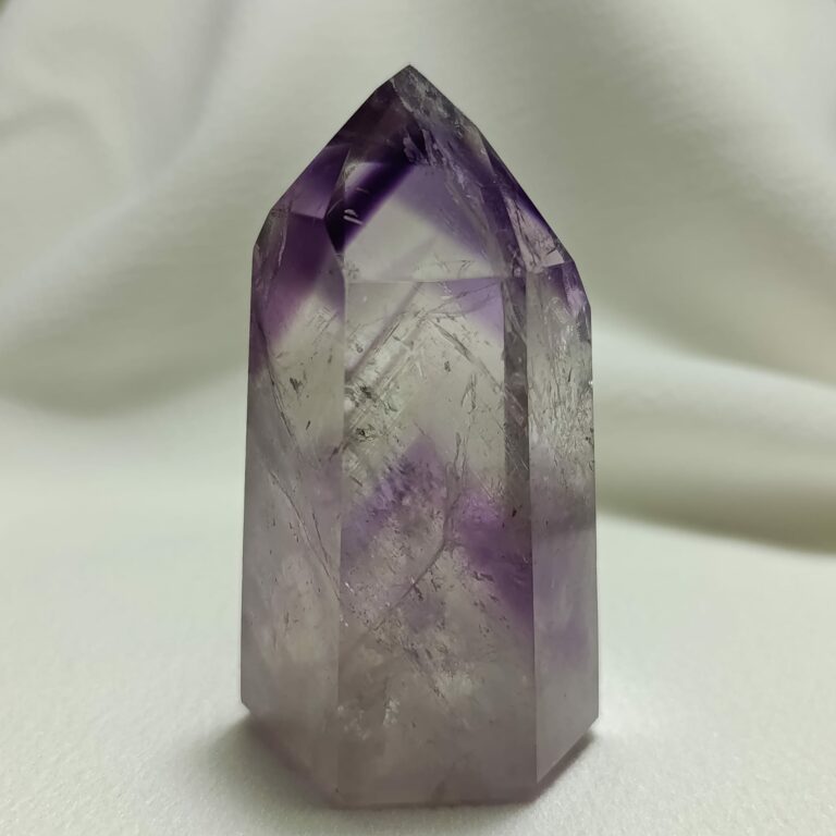 WhatsApp Image 2026-01-26 at 21.11