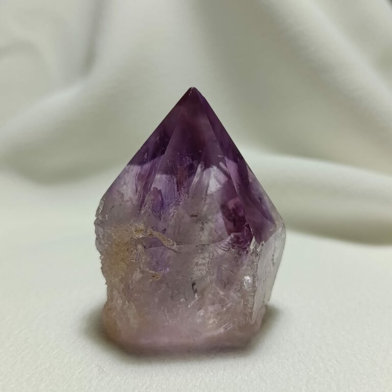 WhatsApp Image 2026-01-26 at 21.11