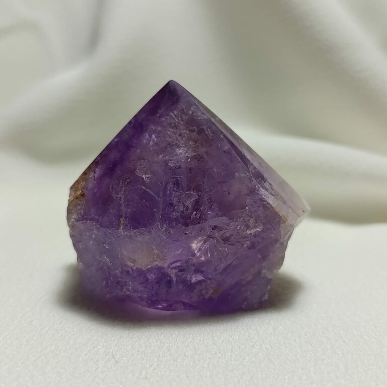 WhatsApp Image 2026-01-26 at 21.11