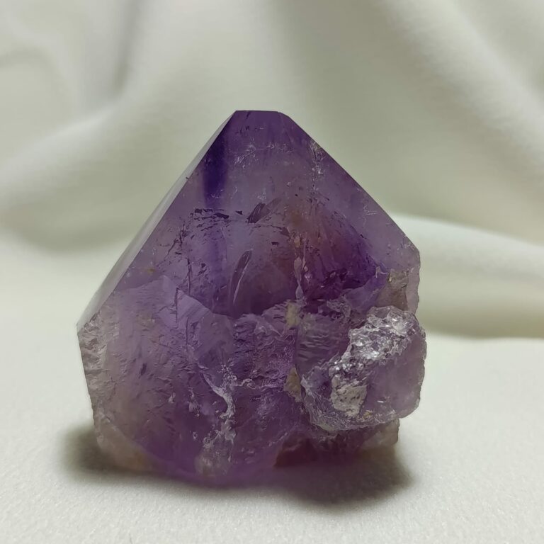 WhatsApp Image 2026-01-26 at 21.11